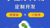 二手車(chē)小程序商城系統(tǒng)、網(wǎng)上商城開(kāi)發(fā)方案